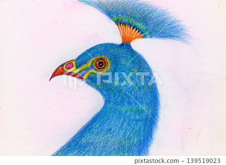 A dignified peacock 139519023
