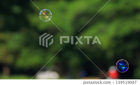 Soap bubbles swaying in the wind 139519087