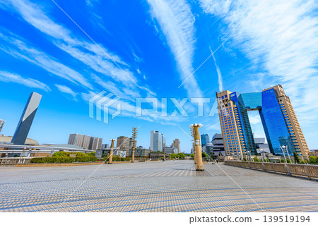 東京都江東區有明市象徵長廊公園（夢之大橋） 139519194