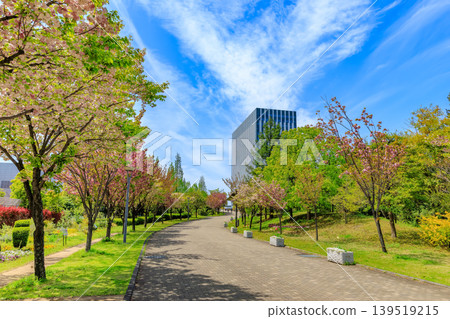 Symbol Promenade Park (Center Promenade) in Aomi, Koto Ward, Tokyo Symbol Promenade Park (Center Promenade) in Aomi, Koto Ward, Tokyo 139519215