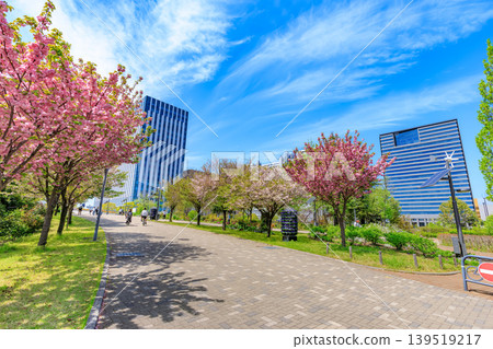 東京都江東區青海的Symbol Promenade Park(中心長廊) 東京都江東區青海的Symbol Promenade Park(中心長廊) 139519217