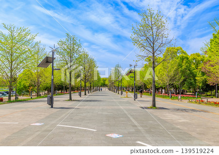 東京都江東區青海的Symbol Promenade Park(西長廊) 東京都江東區青海的Symbol Promenade Park(西長廊) 139519224