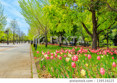 東京都江東區青海的Symbol Promenade Park(西長廊) 東京都江東區青海的Symbol Promenade Park(西長廊) 139519225