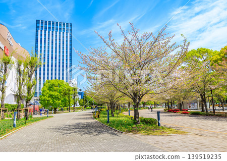 東京都江東區青海的Symbol Promenade Park(西長廊) 東京都江東區青海的Symbol Promenade Park(西長廊) 139519235