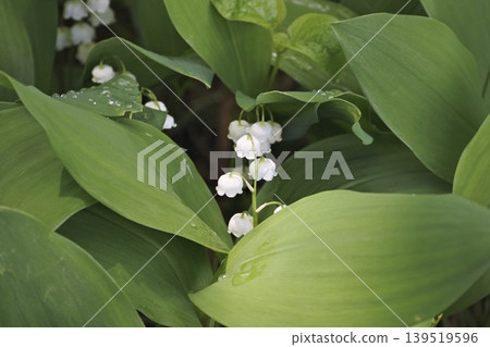 Valley of the valley Valley of the valley 139519596