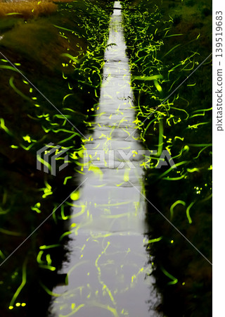 螢火蟲在黑暗的溪流中翩翩起舞,留下夢幻般的軌跡_vertical 螢火蟲在黑暗的溪流中翩翩起舞,留下夢幻般的軌跡_vertical 139519683