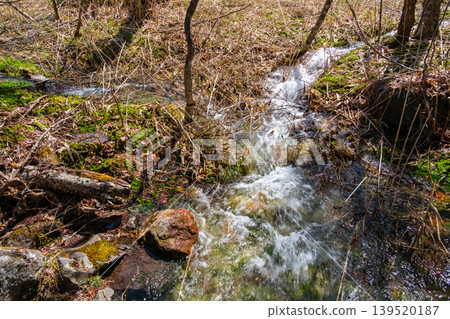 The clear stream of Rurinuma The clear stream of Rurinuma 139520187