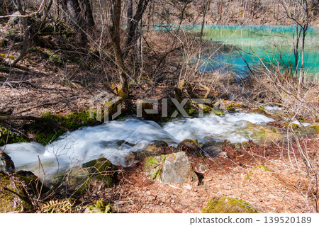 The flow of Goshikinuma 139520189
