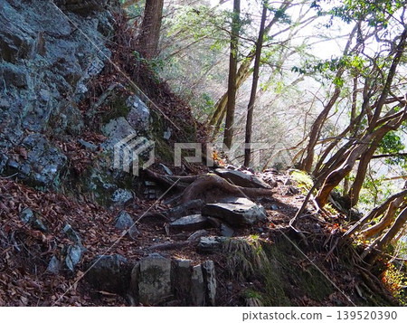 河mossyama山道路 河mossyama山道路 139520390