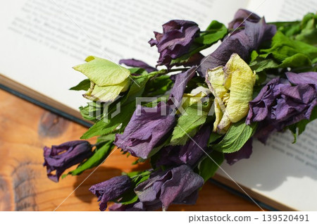 一束用聖誕玫瑰乾做成的花束和一本外國書 一束用聖誕玫瑰乾做成的花束和一本外國書 139520491