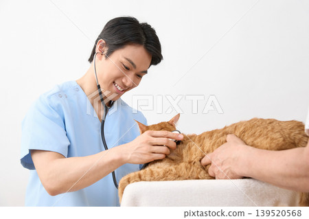 A male veterinarian smiles while examining a cat. (Image of animal medical care) A male veterinarian smiles while examining a cat. (Image of animal medical care) 139520568