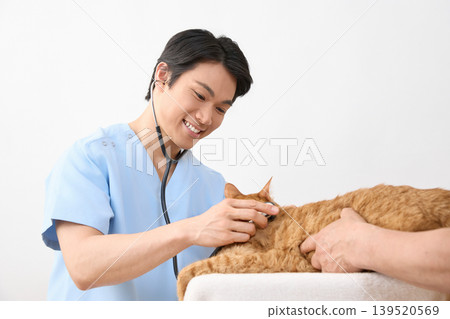 A male veterinarian smiles while examining a cat. (Image of animal medical care) A male veterinarian smiles while examining a cat. (Image of animal medical care) 139520569