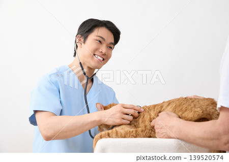 一位男獸醫在給貓看病時面帶微笑。 （動物醫療照護圖片） 139520574