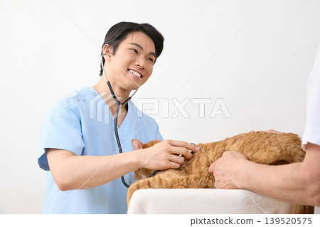 一位男獸醫在給貓看病時面帶微笑。 （動物醫療照護圖片） 139520575