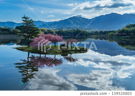 日之川水壩湖浮島上的櫻花 日之川水壩湖浮島上的櫻花 139520803