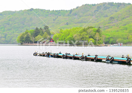 Fresh greenery on the shores of Lake Akagi-Onuma Fresh greenery on the shores of Lake Akagi-Onuma 139520835