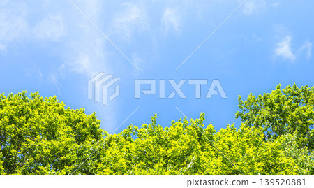 初夏的美景,微風習習,藍天白雲,綠樹成蔭。 初夏的美景,微風習習,藍天白雲,綠樹成蔭。 139520881