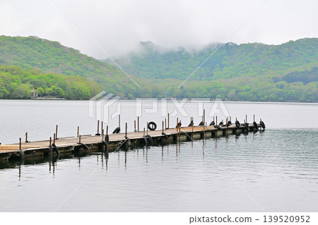 The pier on the shore of Lake Akagi-Onuma, surrounded by fresh greenery. The pier on the shore of Lake Akagi-Onuma, surrounded by fresh greenery. 139520952