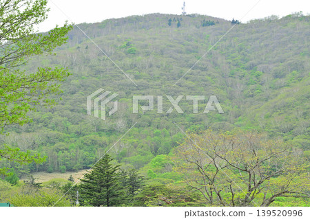 Fresh greenery on the shores of Lake Akagi-Onuma Fresh greenery on the shores of Lake Akagi-Onuma 139520996