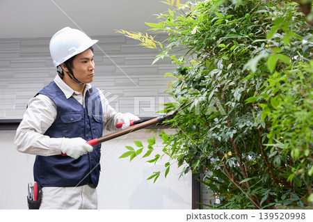 一名男性工人正在修剪花園裡的樹木。 139520998