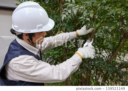 一名男性工人正在修剪花園裡的樹木。 一名男性工人正在修剪花園裡的樹木。 139521149