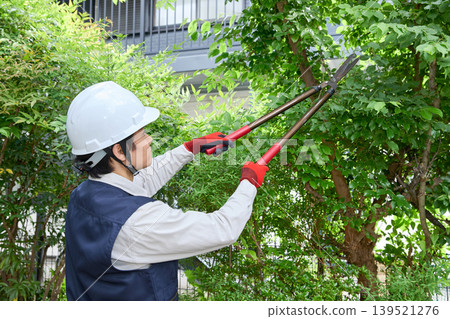 一名男性工人正在修剪花園裡的樹木。 一名男性工人正在修剪花園裡的樹木。 139521276