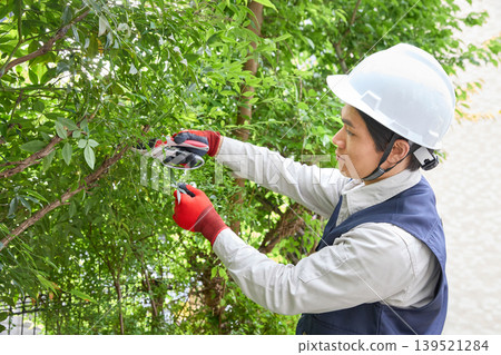 A male worker pruning garden trees. A male worker pruning garden trees. 139521284