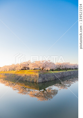 Cherry blossoms in full bloom and a clear spring scene at Goryokaku Park in Hakodate City, Hokkaido. Cherry blossoms in full bloom and a clear spring scene at Goryokaku Park in Hakodate City, Hokkaido. 139521554