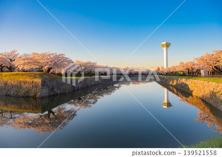 Cherry blossoms in full bloom and a clear spring scene at Goryokaku Park in Hakodate City, Hokkaido. Cherry blossoms in full bloom and a clear spring scene at Goryokaku Park in Hakodate City, Hokkaido. 139521558