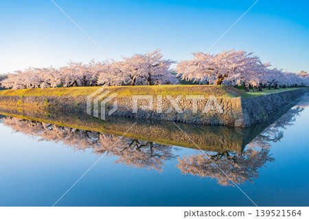 Cherry blossoms in full bloom and a clear spring scene at Goryokaku Park in Hakodate City, Hokkaido. Cherry blossoms in full bloom and a clear spring scene at Goryokaku Park in Hakodate City, Hokkaido. 139521564