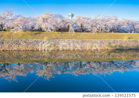 Cherry blossoms in full bloom and a clear spring scene at Goryokaku Park in Hakodate City, Hokkaido. Cherry blossoms in full bloom and a clear spring scene at Goryokaku Park in Hakodate City, Hokkaido. 139521575