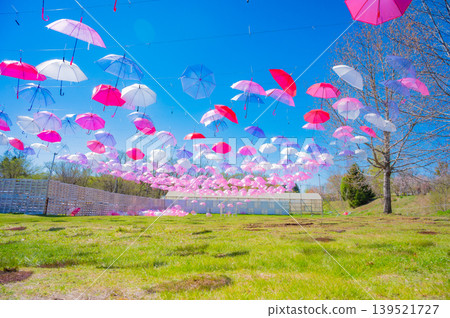 Umbrella Sky and Spring Gardens in Full Bloom at Tokachi Hills, Obihiro City, Hokkaido 139521727