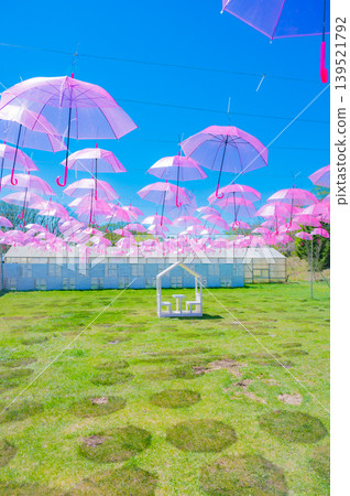 Umbrella Sky and Spring Gardens in Full Bloom at Tokachi Hills, Obihiro City, Hokkaido Umbrella Sky and Spring Gardens in Full Bloom at Tokachi Hills, Obihiro City, Hokkaido 139521792