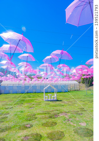 Umbrella Sky and Spring Gardens in Full Bloom at Tokachi Hills, Obihiro City, Hokkaido 139521793