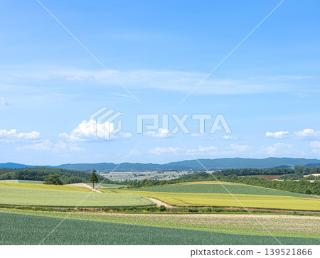從北海道美瑛的山頂上眺望,夏日景色令人心曠神怡。 從北海道美瑛的山頂上眺望,夏日景色令人心曠神怡。 139521866