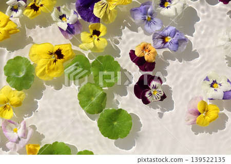 Colorful pansies and asiatic pennyworts floating on shimmering waves. Colorful pansies and asiatic pennyworts floating on shimmering waves. 139522135