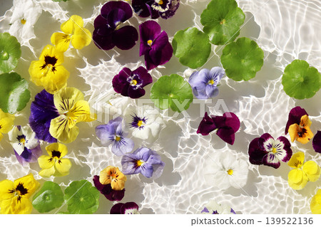 Colorful pansies and asiatic pennyworts floating on shimmering waves. Colorful pansies and asiatic pennyworts floating on shimmering waves. 139522136
