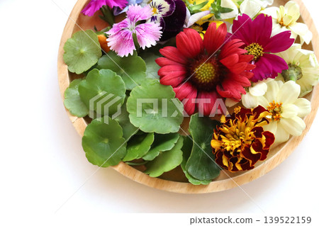 Colorful edible flowers for decorating your beautiful food plates. 139522159