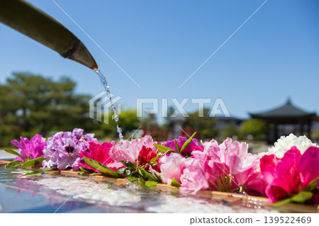 藍天和花盆 藍天和花盆 139522469