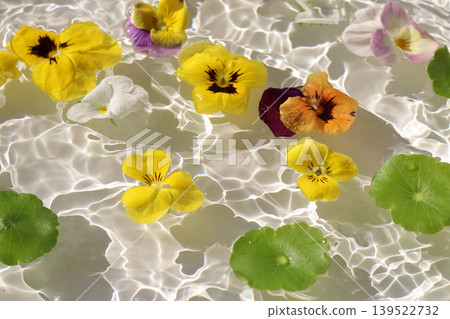 Colorful pansies and asiatic pennyworts floating on shimmering waves. Colorful pansies and asiatic pennyworts floating on shimmering waves. 139522732