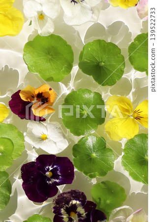 Colorful pansies and asiatic  pennyworts floating on shimmering waves. 139522733