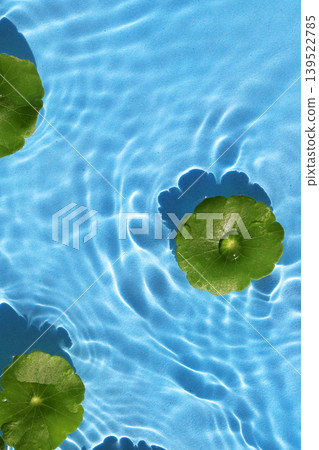 Green pennywort leaves floating on clear blue rippling water. Green pennywort leaves floating on clear blue rippling water. 139522785