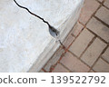 Cracked concrete block damage on urban sidewalk pavement 139522792