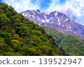 The summit of Tanigawadake Mountain, enveloped in fresh greenery. 139522947