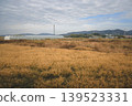 Scenic Countryside View from Train Between Kyoto and Nara Nov 27 2025 139523331