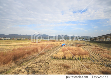 Scenic Countryside View from Train Between Kyoto and Nara Nov 27 2025 Scenic Countryside View from Train Between Kyoto and Nara Nov 27 2025 139523344