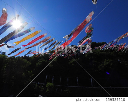 鯉魚飄帶游泳在天空中 鯉魚飄帶游泳在天空中 139523518