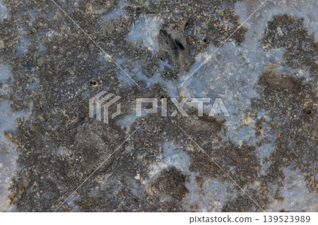 Weathered mineral with sparkling crystal highlights and metallic sheen. Detailed image showcasing textured geological surface with sparkling and iridescent mineral formations 139523989