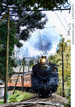 Steam locomotive of Oigawa Railway Steam locomotive of Oigawa Railway 139524557