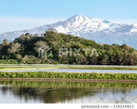 白雪皚皚的秋田鳥海山，以及注滿水的稻田，標誌著水稻種植季節的到來。 139524923